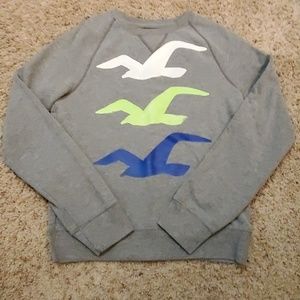 Crewneck Sweatshirt | Hollister